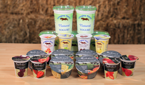 Our Yoghurts Range